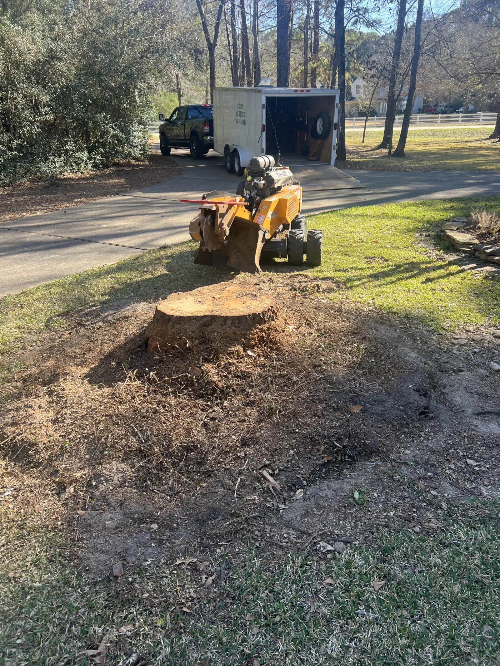 Branching Out professional stump grinding service in the greater Houston area
