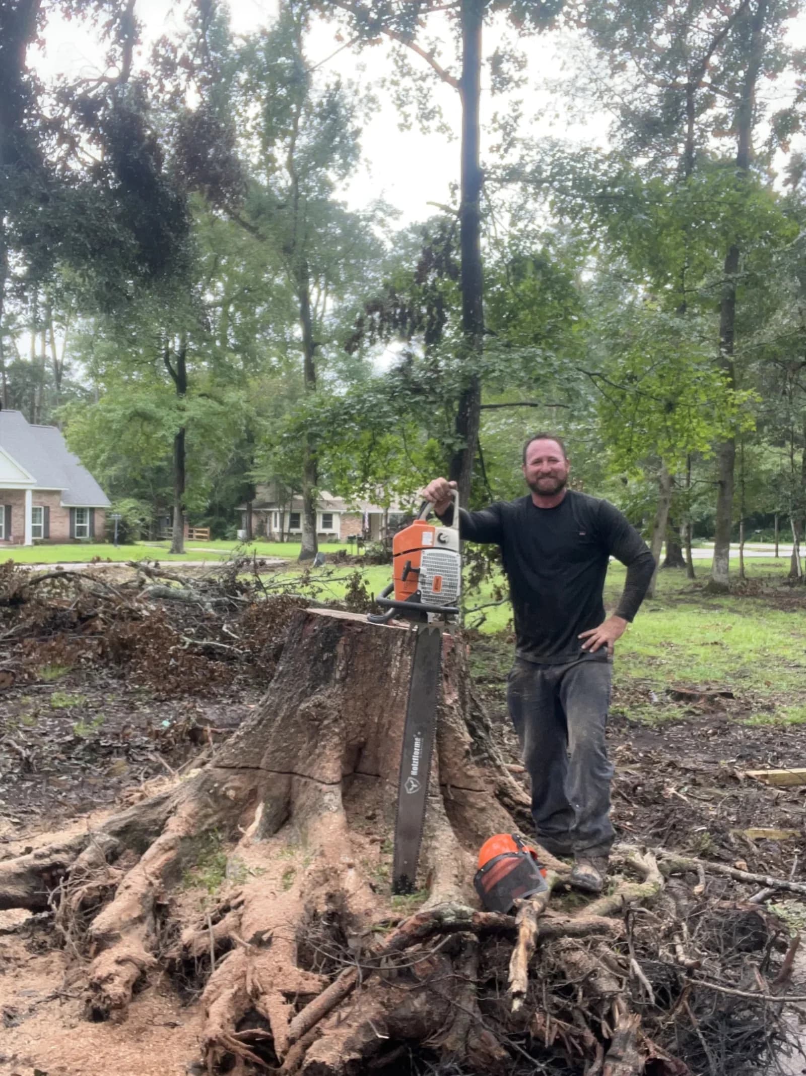 Professional tree service in Humble, TX by Branching Out