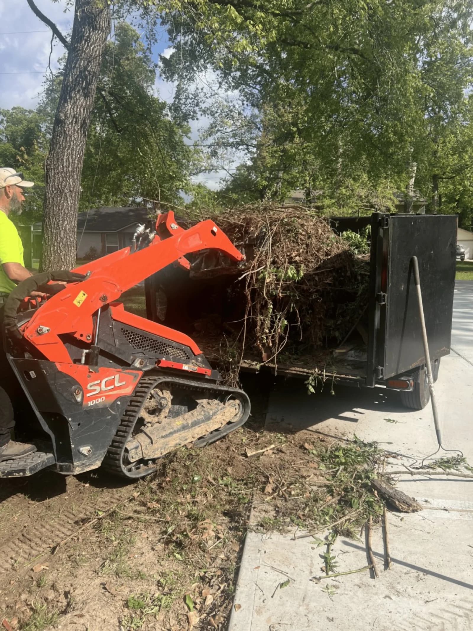 Professional tree service in Montgomery, TX by Branching Out